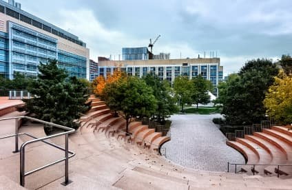 Basic UI & UX Design for new development